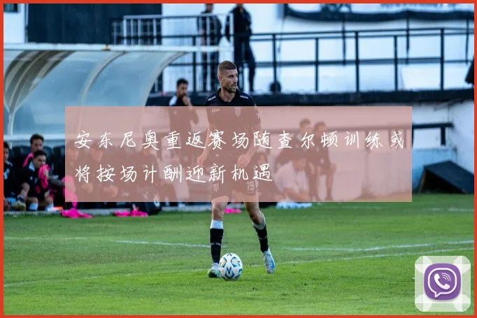安东尼奥重返赛场随查尔顿训练或将按场计酬迎新机遇