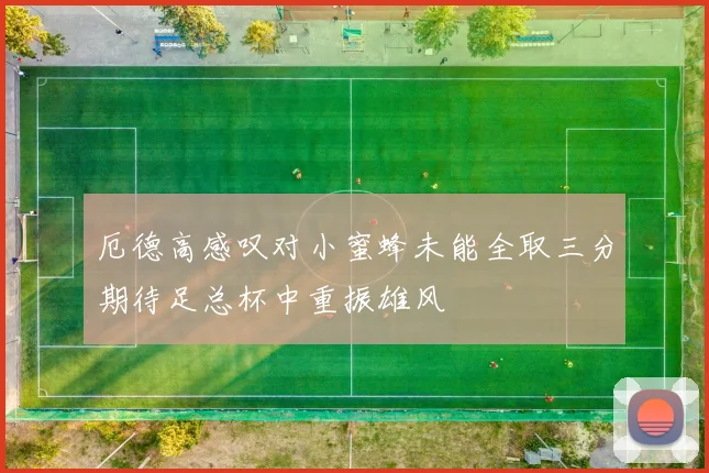 厄德高感叹对小蜜蜂未能全取三分期待足总杯中重振雄风