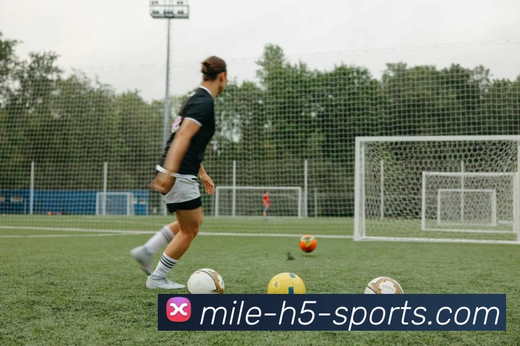 米乐体育平台生态图